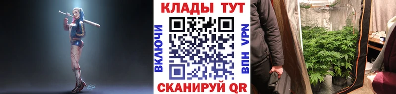 Купить наркотики цена Тюкалинск Alpha-PVP  Каннабис  Мефедрон  ГАШИШ 