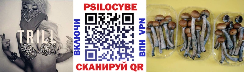 ссылка на мегу рабочий сайт  Тюкалинск  Псилоцибиновые грибы ЛСД  купить  цена 